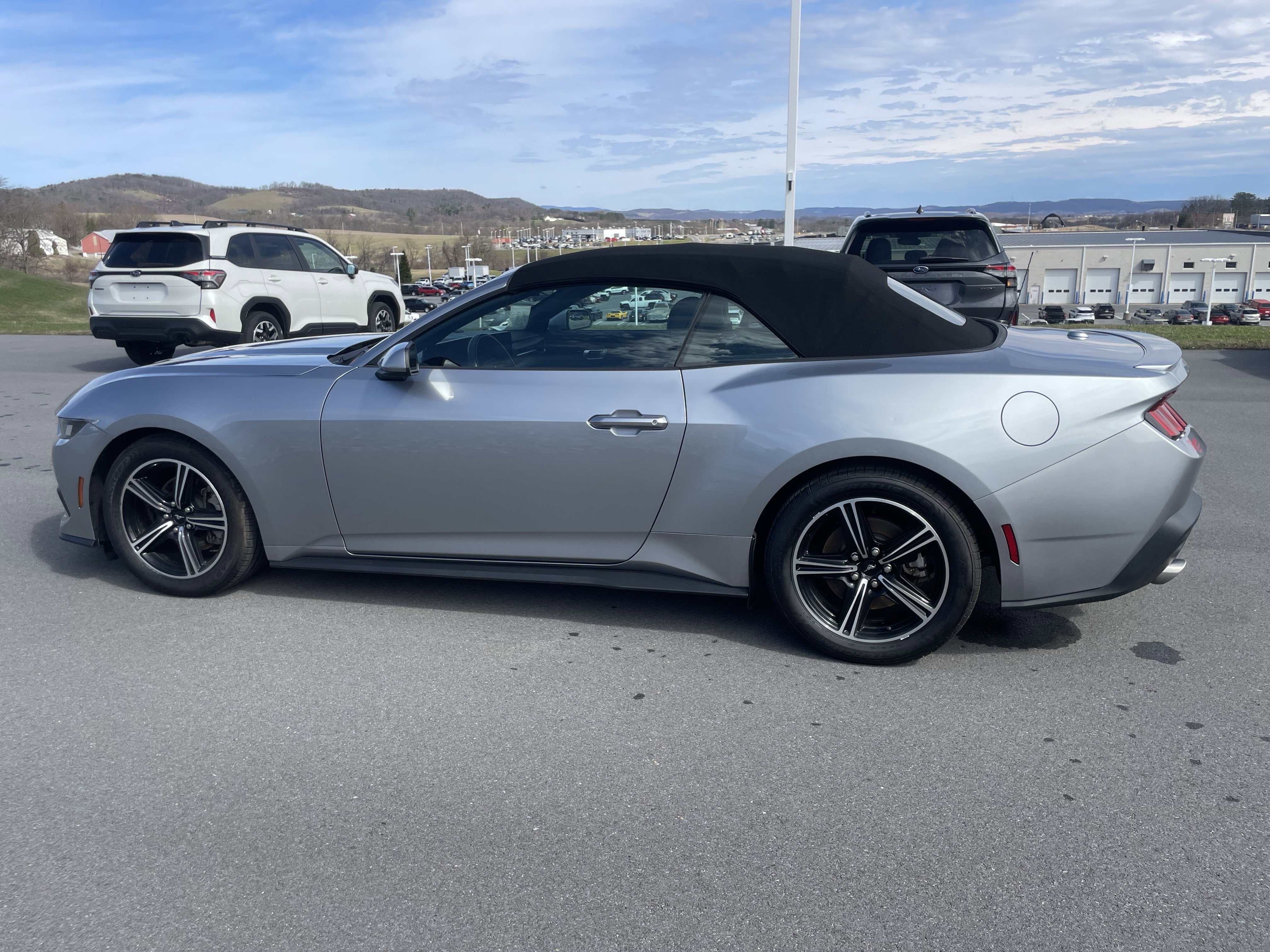 Used 2025 Ford Mustang Premium image 7