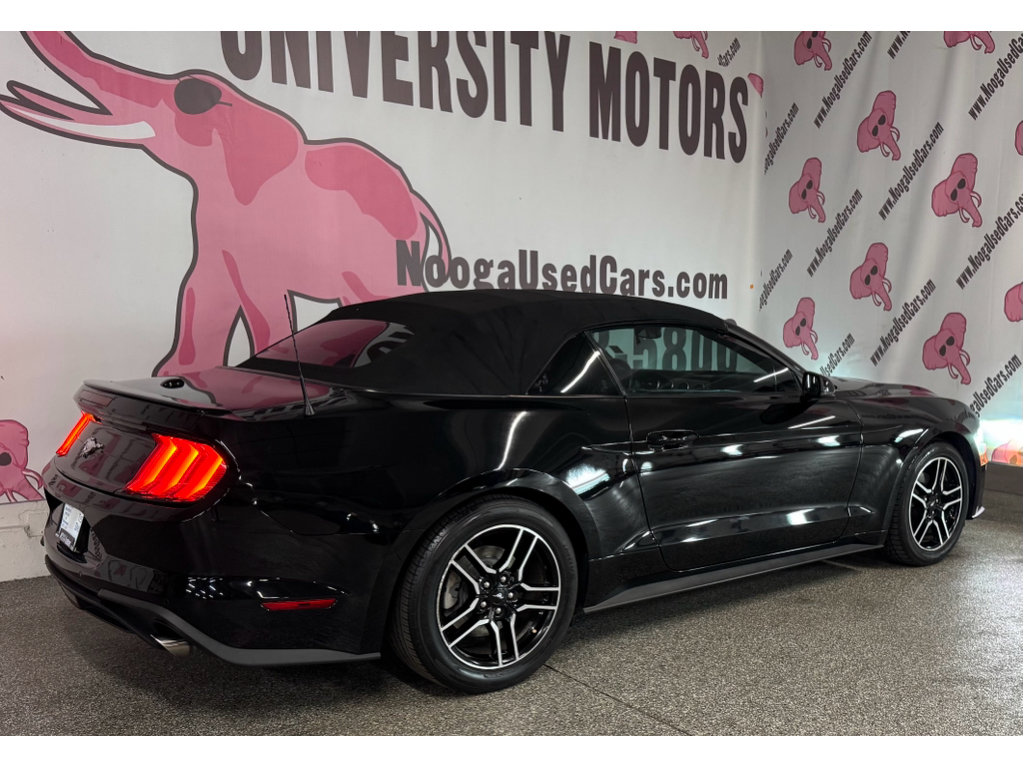 Used 2018 Ford Mustang Premium w/ Equipment Group 201A RWD image 12