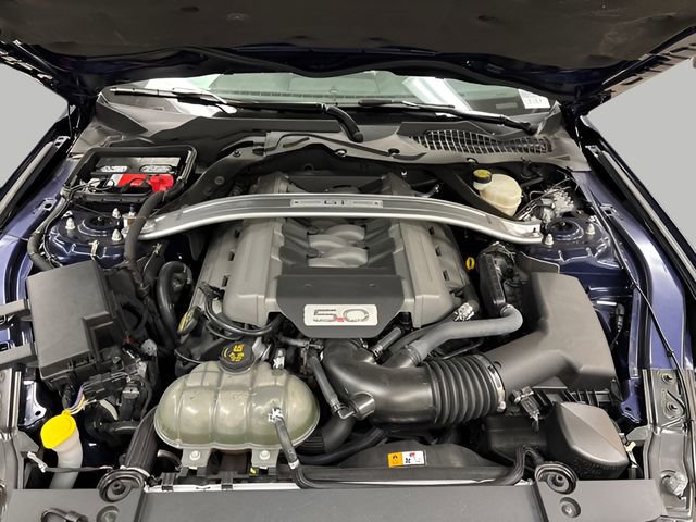 Used 2015 Ford Mustang 50 Years RWD image 19