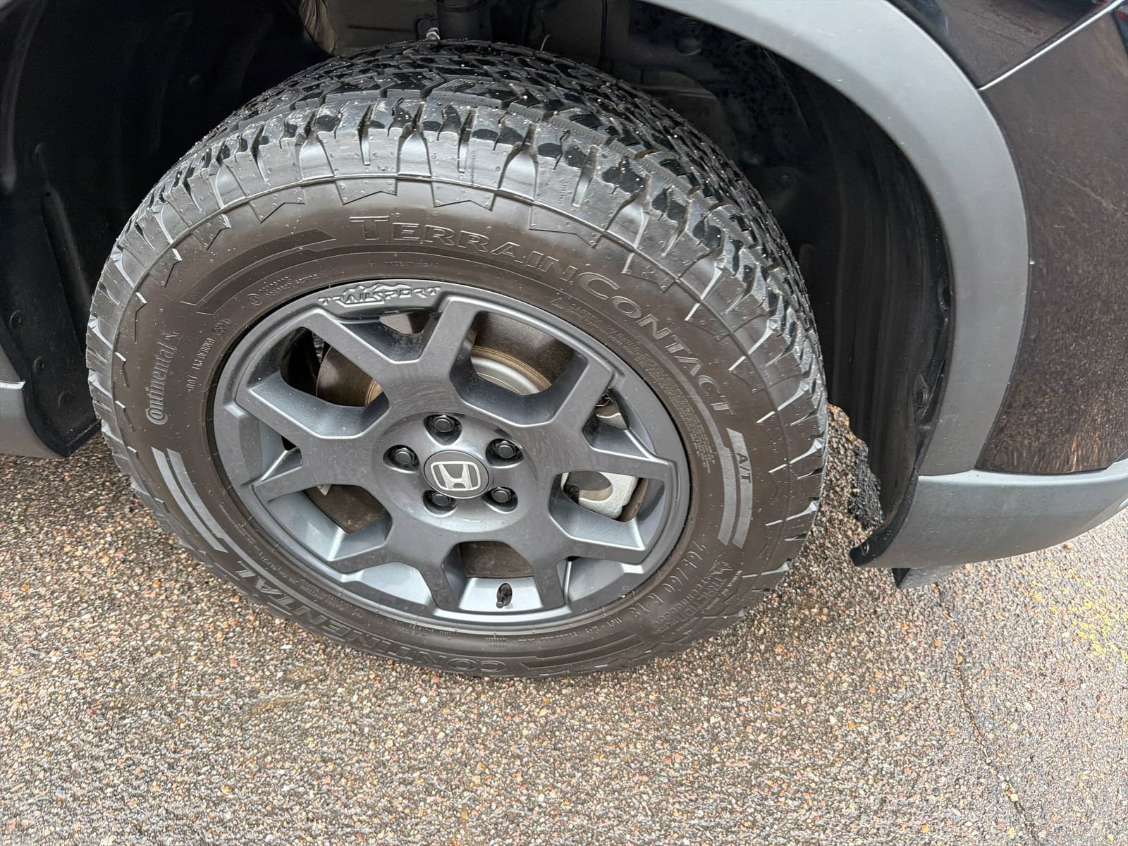 Used 2025 Honda Pilot TrailSport image 11