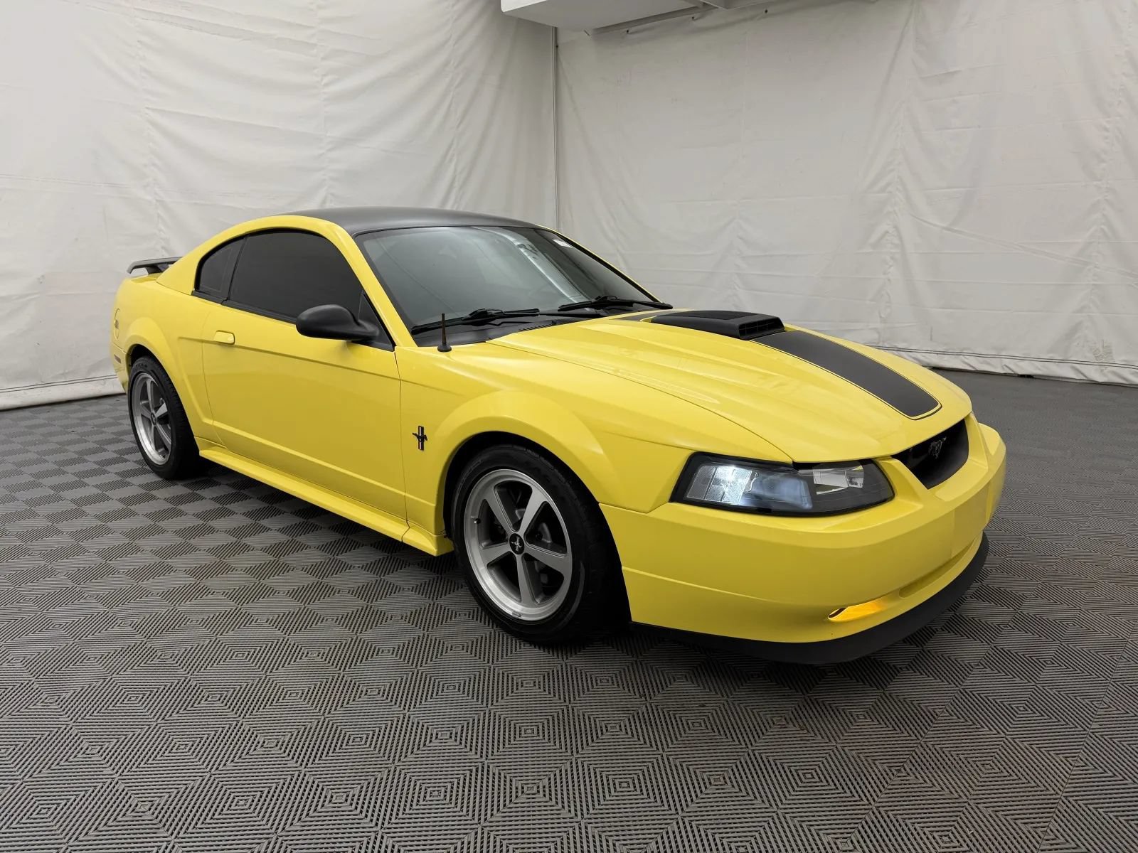 Used 2003 Ford Mustang Mach 1 RWD image 3