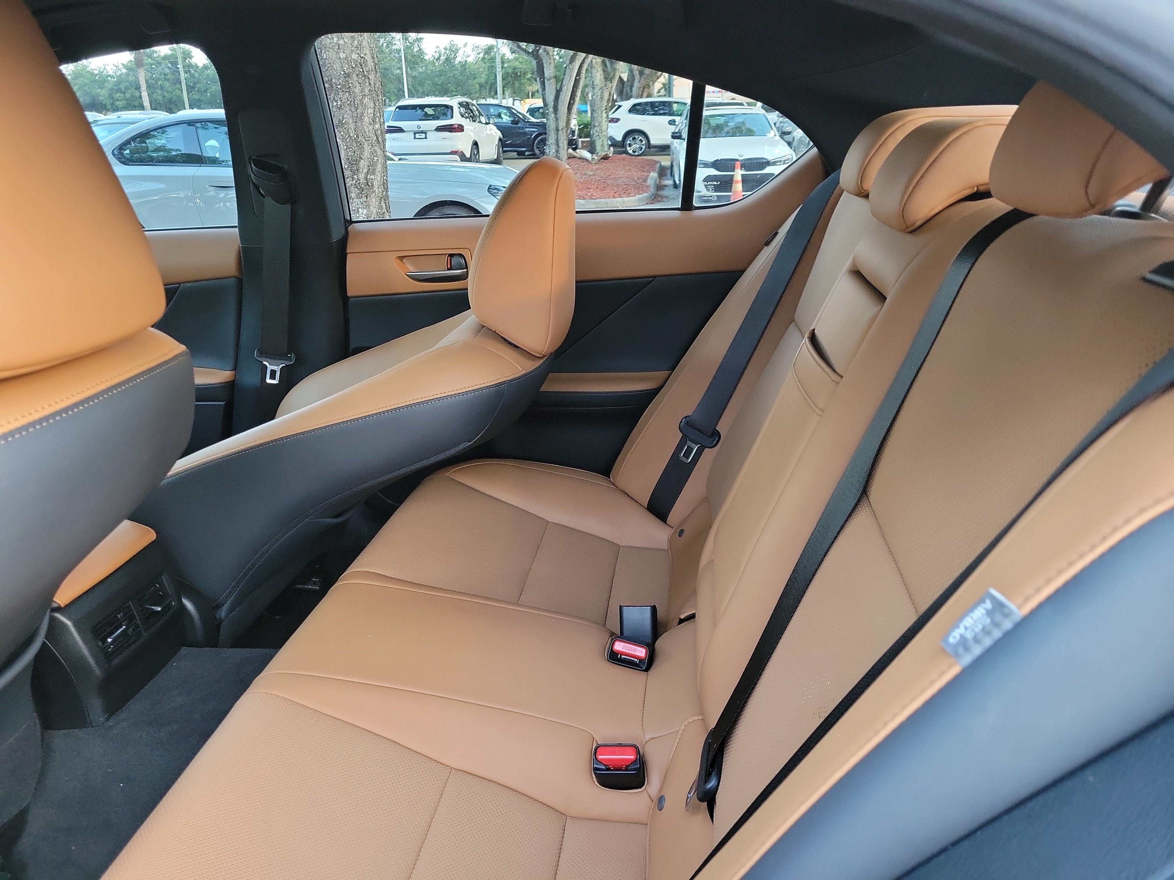 Used 2023 Lexus IS 300 w/ Comfort Package RWD image 8