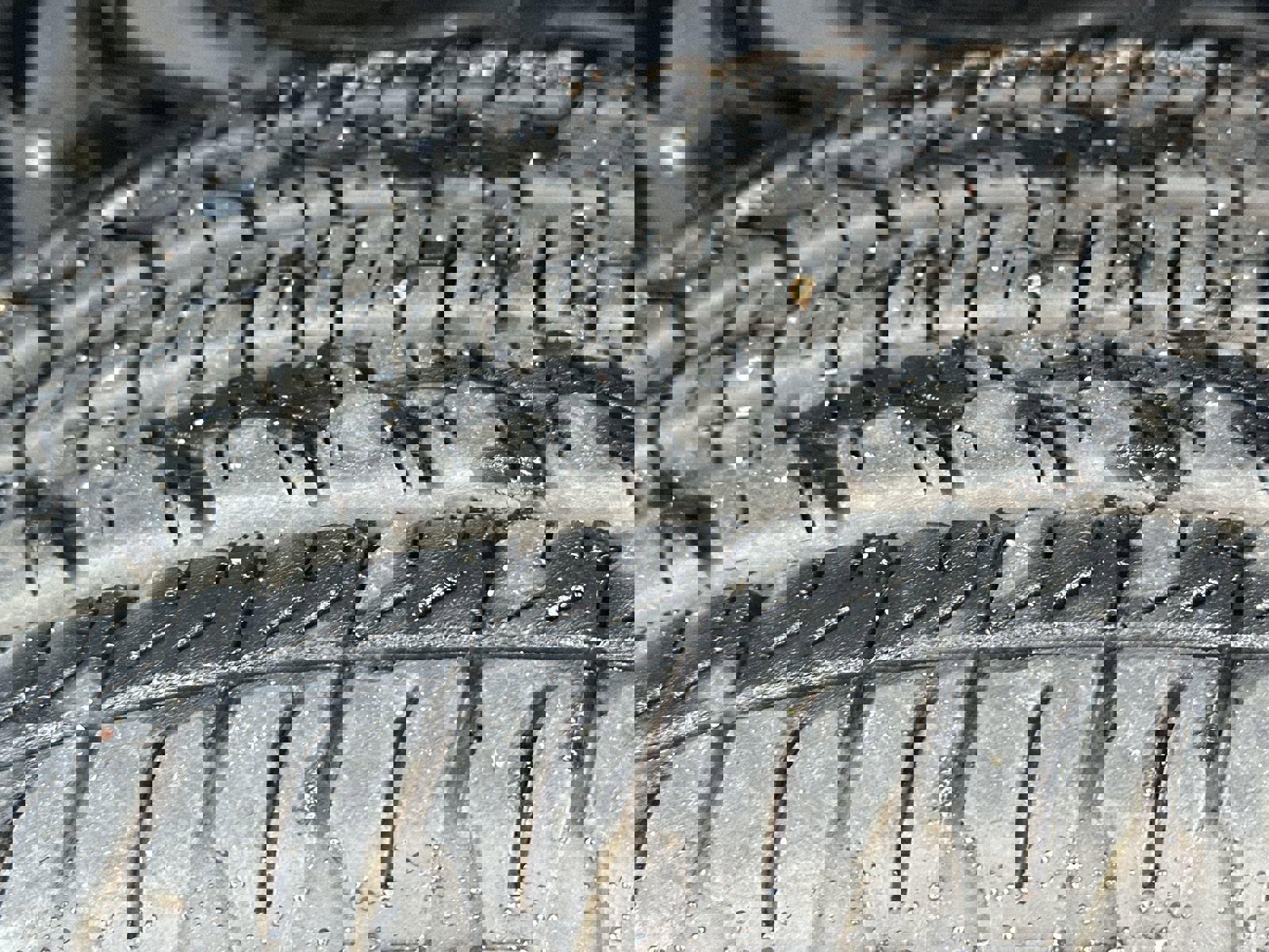 Used 2023 Chevrolet Colorado W/T image 12