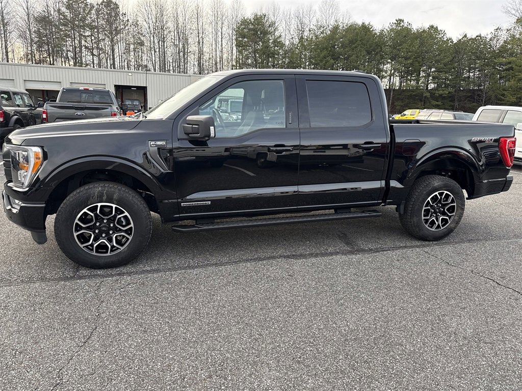 Used 2023 Ford F150 XLT w/ Equipment Group 302A High image 4