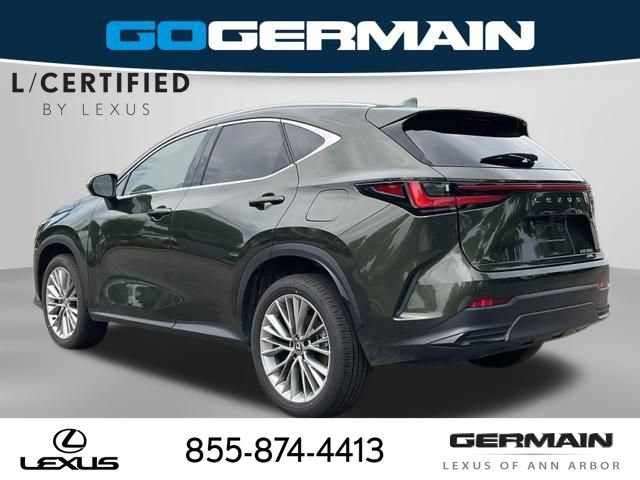 Certified 2025 Lexus NX 350 AWD w/ Cold Area Package image 6