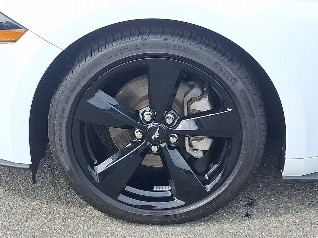 Used 2023 Ford Mustang EcoBoost w/ Mustang Nite Pony Package image 8