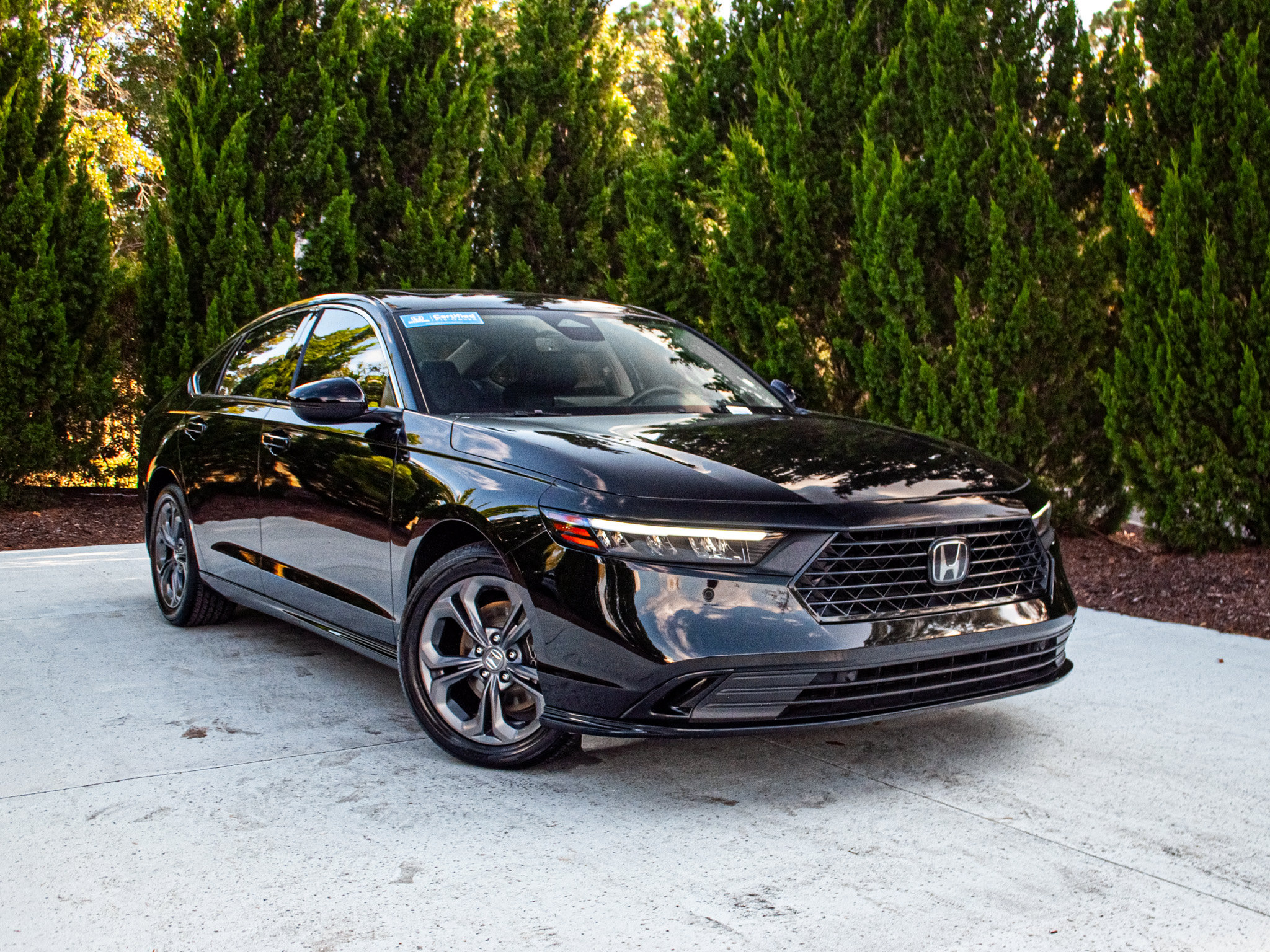 Used 2025 Honda Accord EX-L image 2