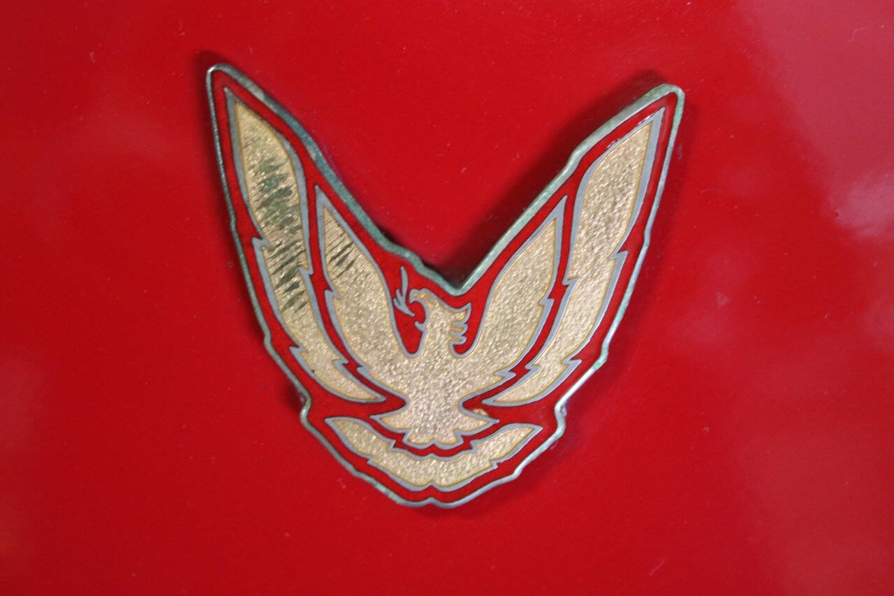 Used 1988 Pontiac Firebird Trans Am image 16