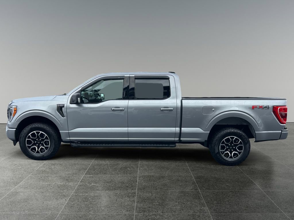 Used 2023 Ford F150 XLT w/ Equipment Group 302A High AWD/4WD image 5