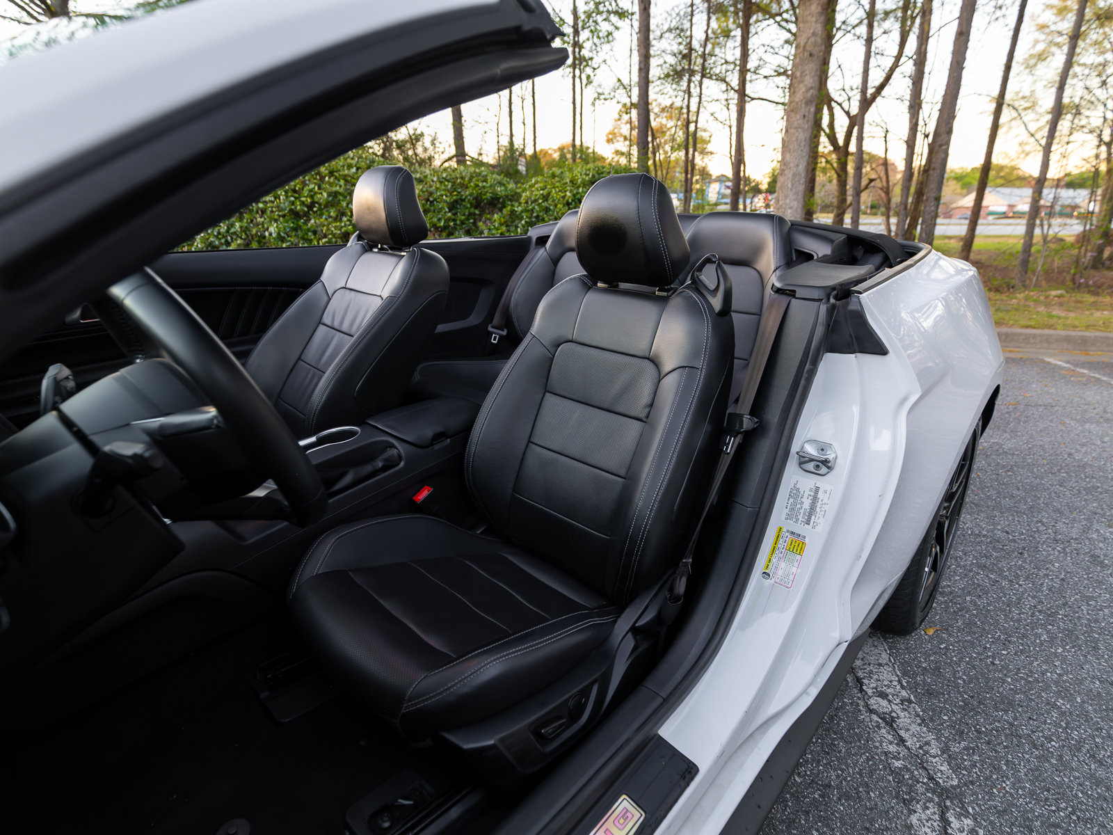 Used 2022 Ford Mustang Premium image 14