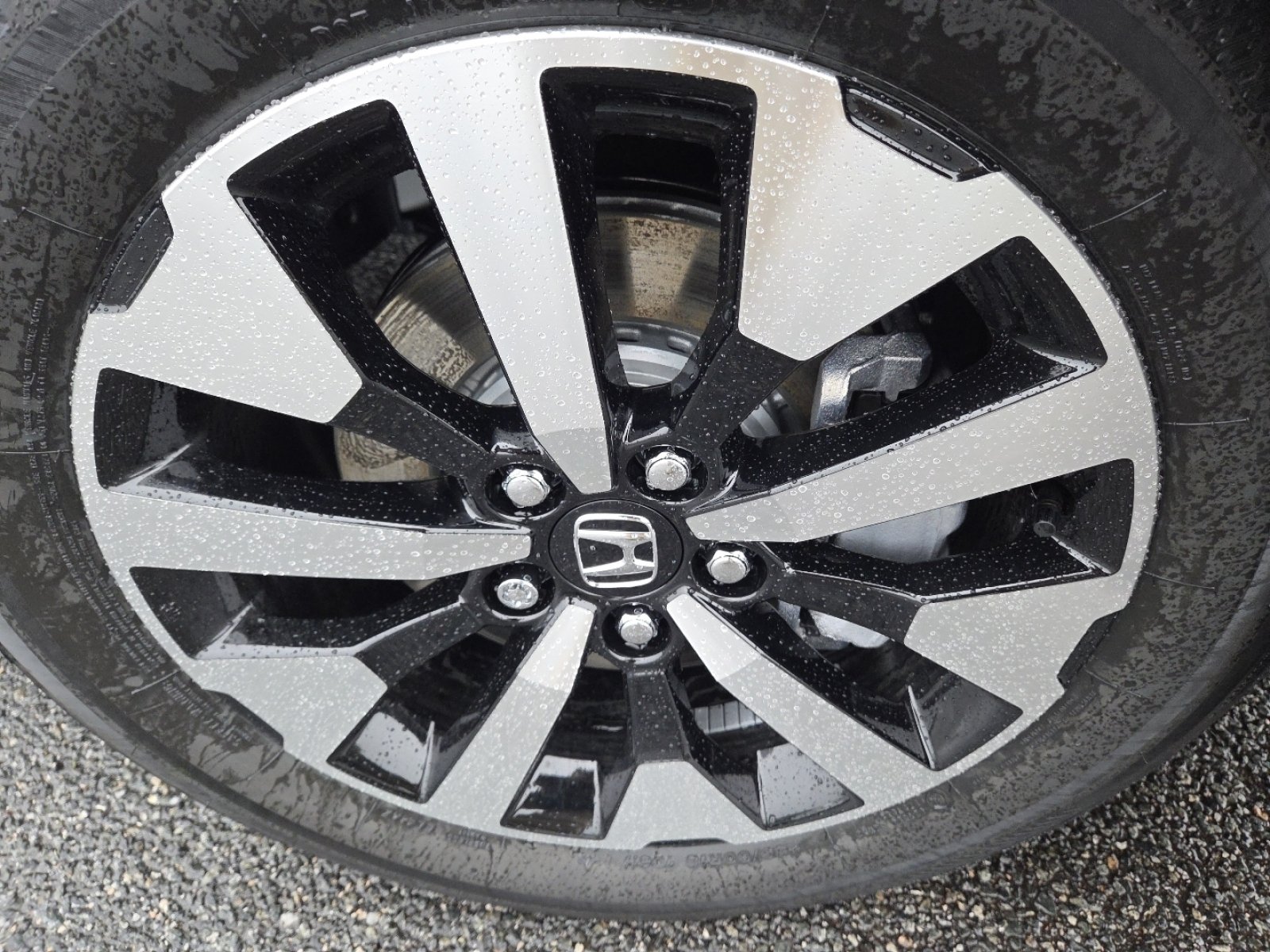 Certified 2026 Honda Odyssey EX-L image 12
