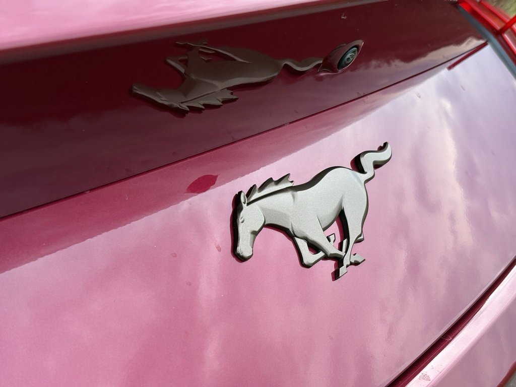 New 2026 Ford Mustang EcoBoost w/ Bronze Appearance Package image 10