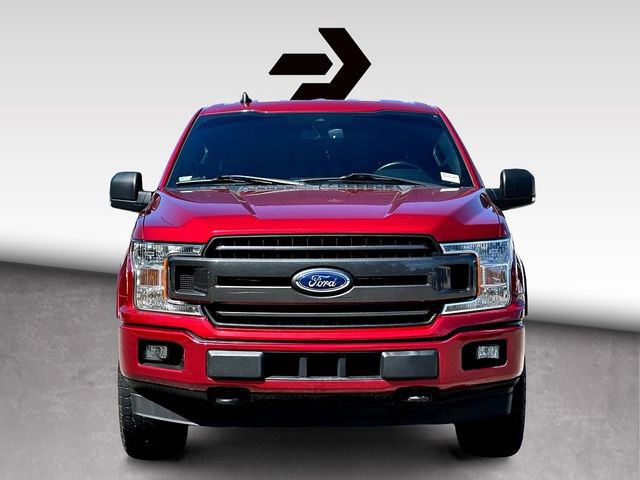 Used 2019 Ford F150 XLT w/ Equipment Group 302A Luxury image 3