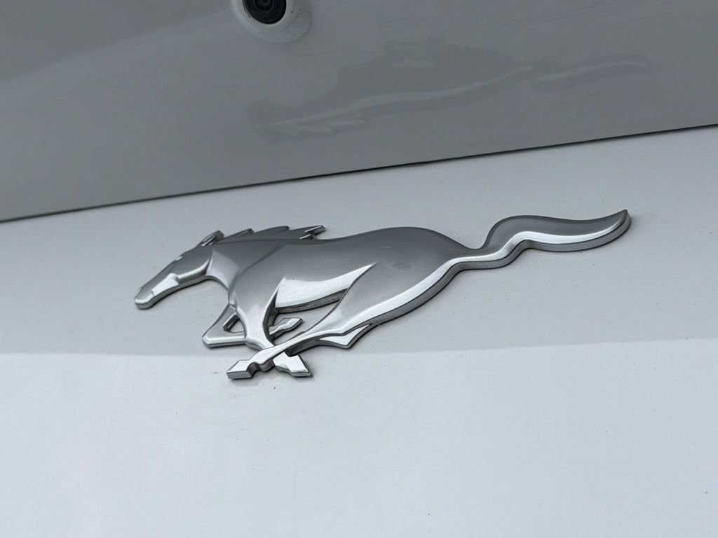 Used 2025 Ford Mustang Premium RWD image 18