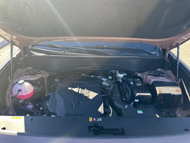 New 2026 Hyundai Palisade Calligraphy image 26