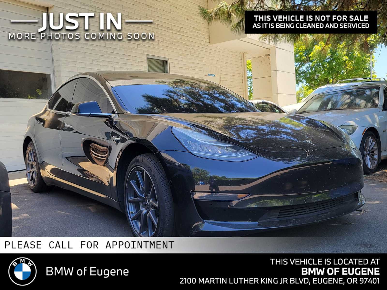 Used 2019 Tesla Model 3 Standard Range Plus