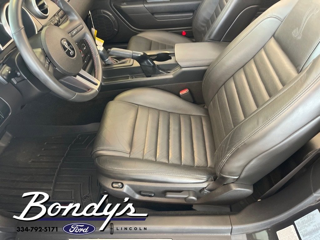 Used 2007 Ford Mustang Shelby GT500 image 13