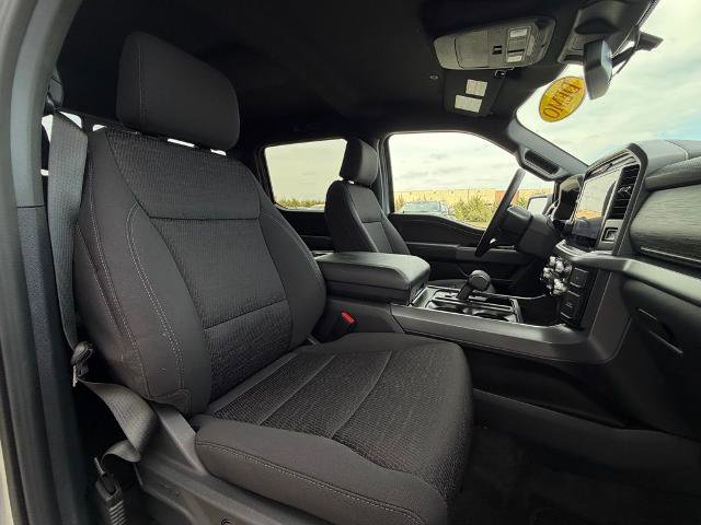 New 2026 Ford F150 XLT w/ Equipment Group 302A MID image 25