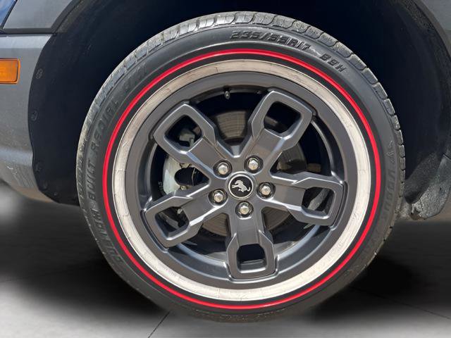 Used 2021 Ford Bronco Sport Big Bend AWD/4WD image 13