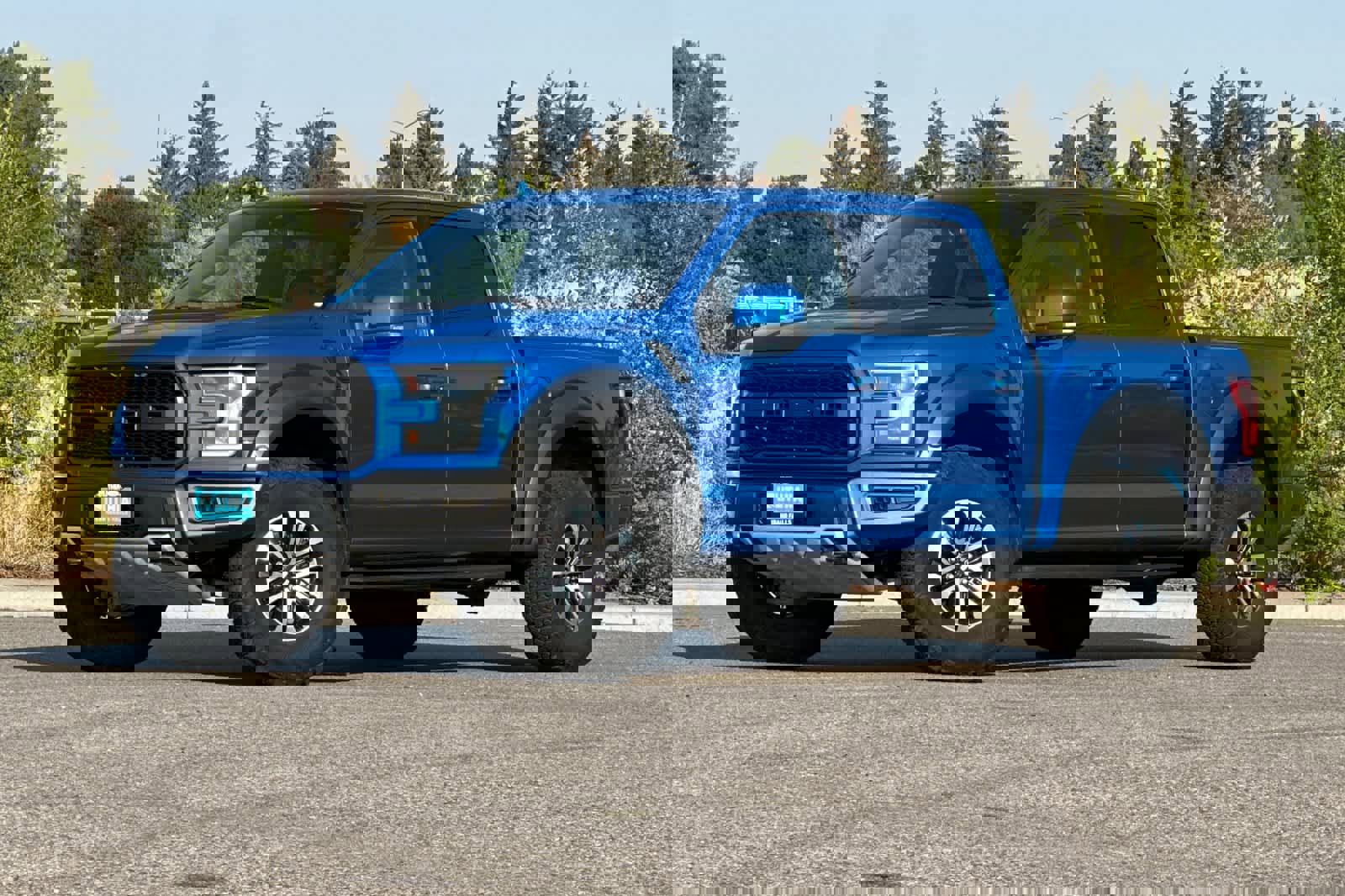 Used 2019 Ford F150 Raptor w/ Equipment Group 802A Luxury