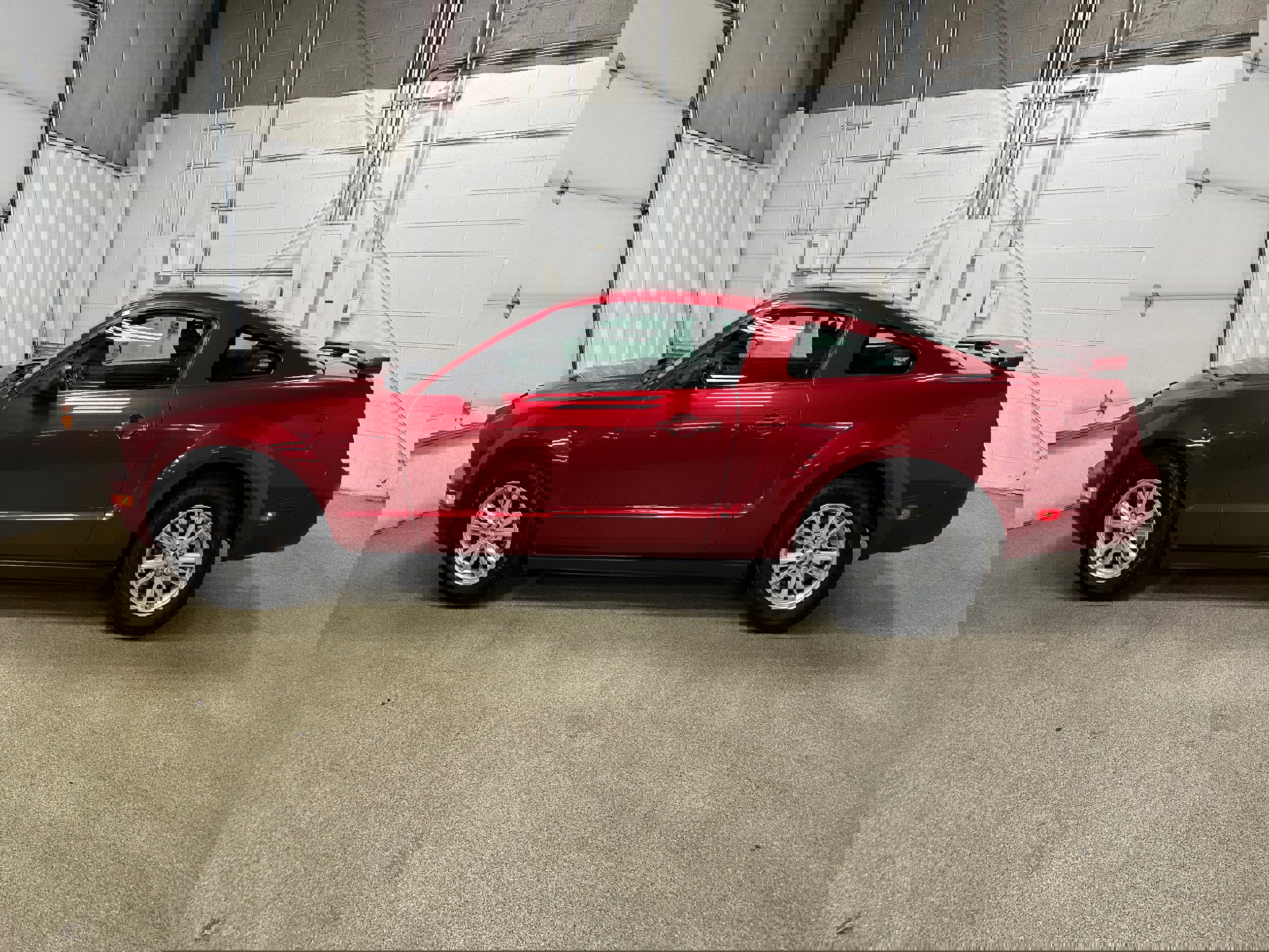 Used 2005 Ford Mustang Deluxe image 4