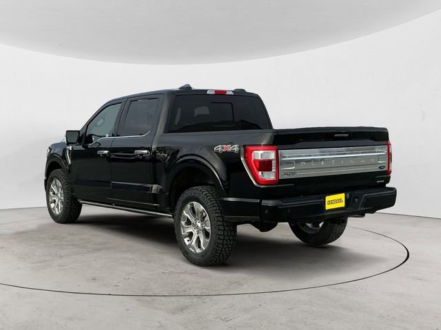 Used 2023 Ford F150 Platinum AWD/4WD image 3