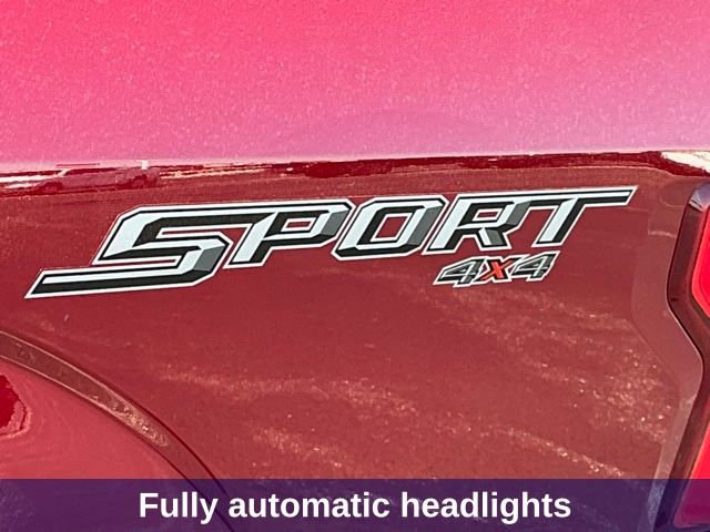 Used 2019 Ford F150 XLT w/ Equipment Group 302A Luxury image 14