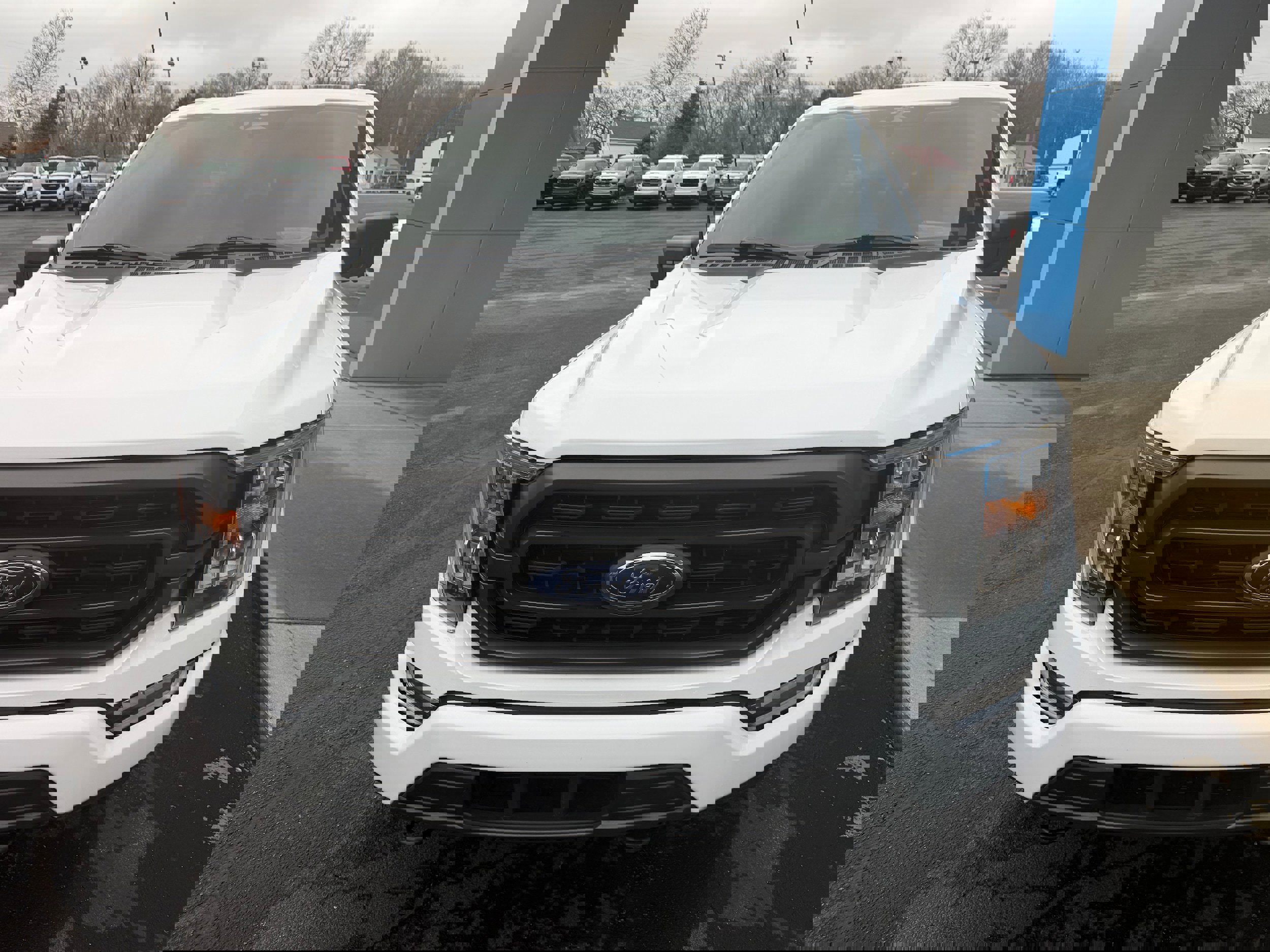 Used 2023 Ford F150 XLT w/ Equipment Group 302A High image 13