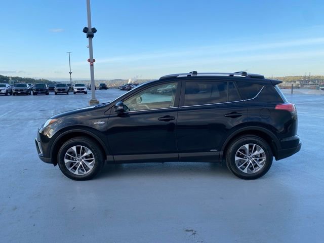 Certified 2017 Toyota RAV4 XLE w/ All Weather Liner Package image 6