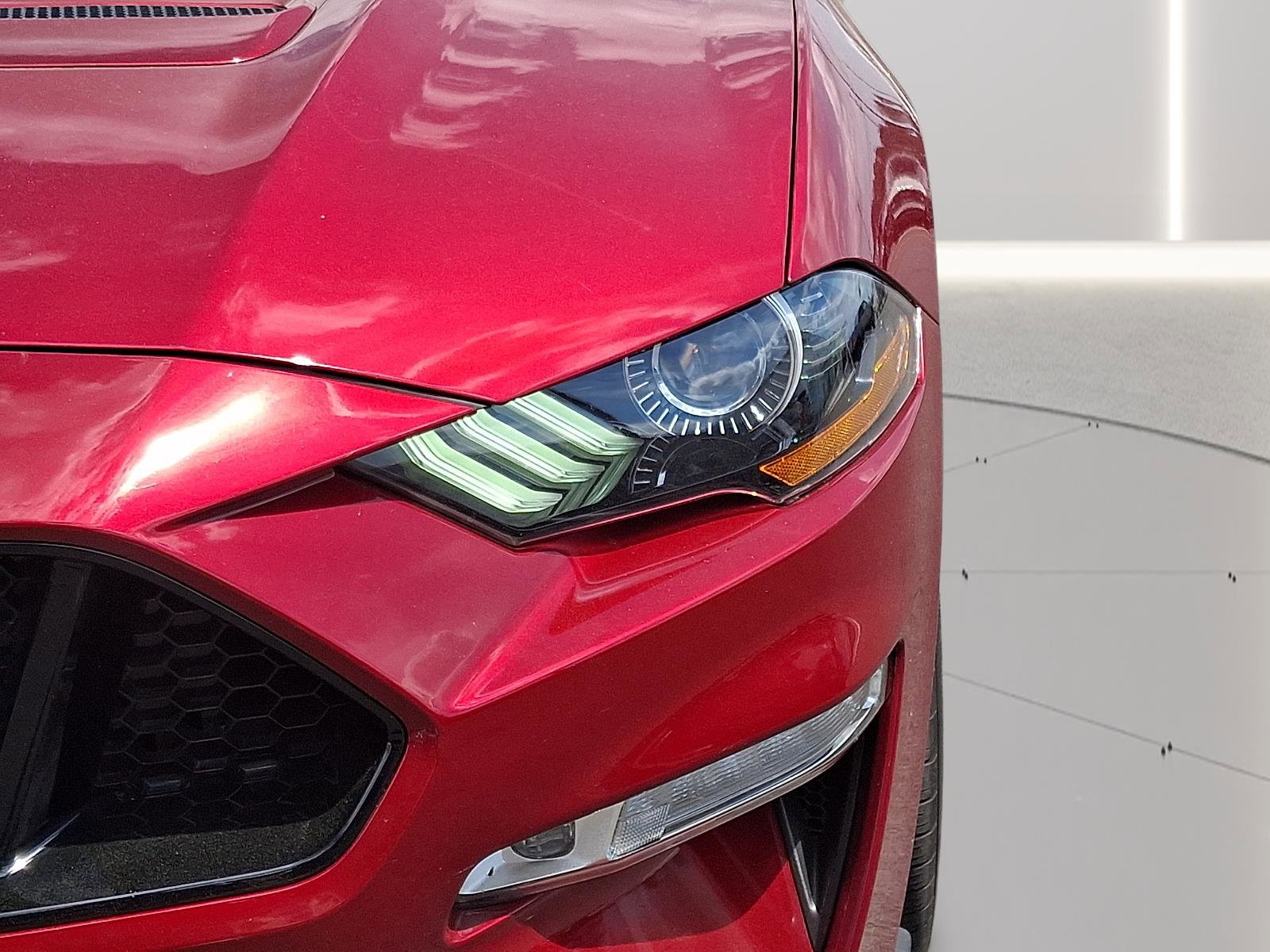 Used 2019 Ford Mustang GT Premium w/ Equipment Group 401A RWD image 69