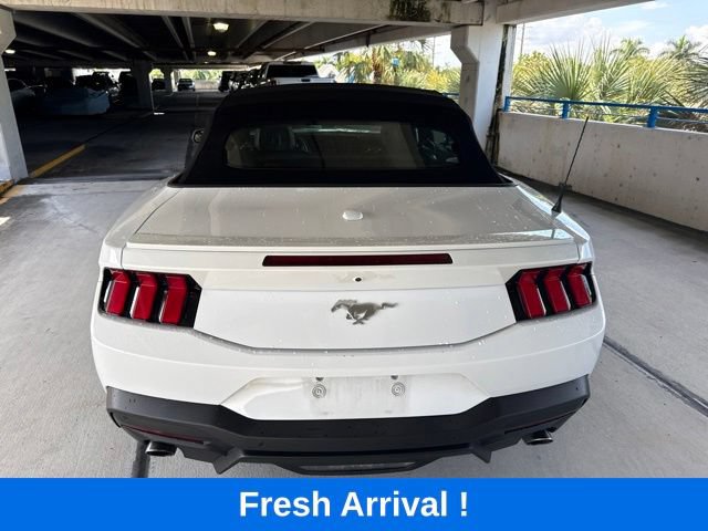 Used 2024 Ford Mustang Premium w/ Wheel & Stripe Package RWD image 17
