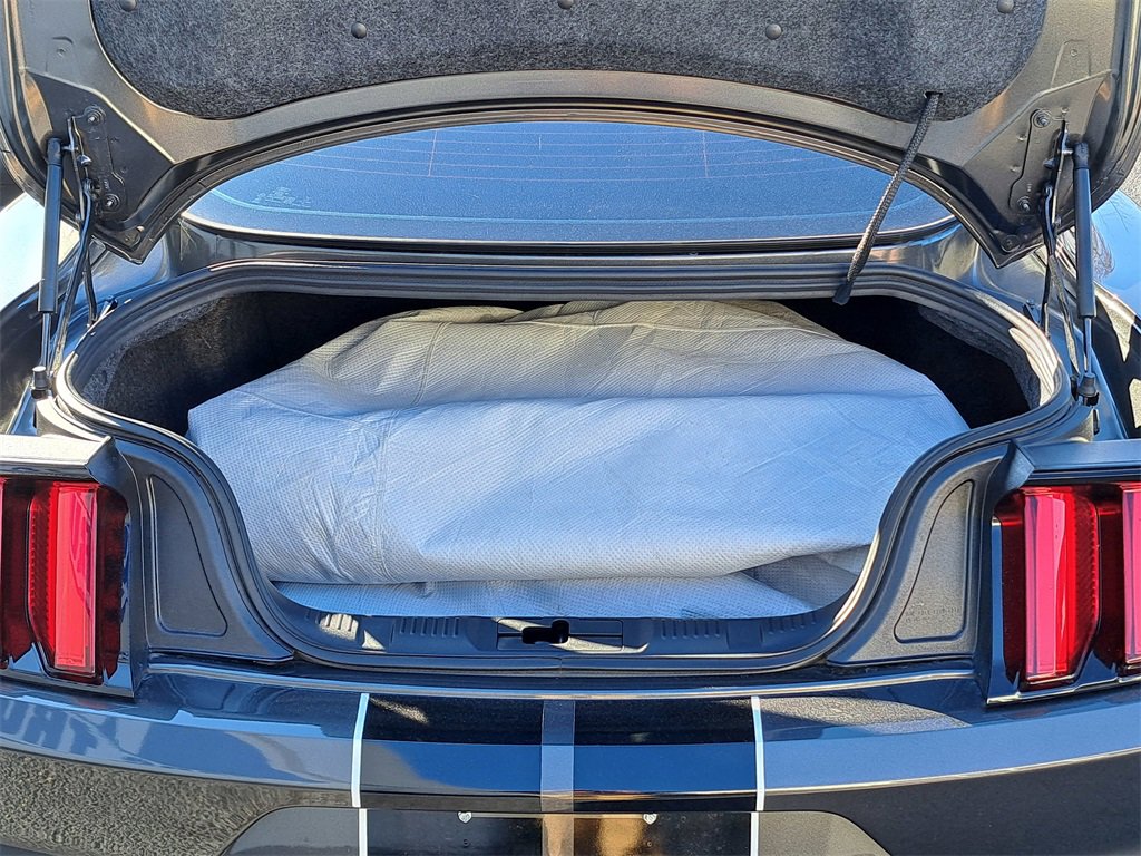 Used 2017 Ford Mustang Shelby GT350 w/ Electronics Package image 12