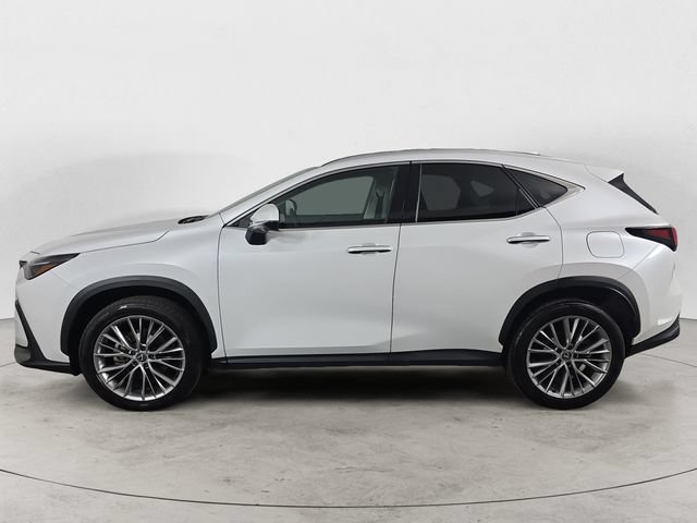 Certified 2024 Lexus NX 350h AWD w/ Vision Package image 8