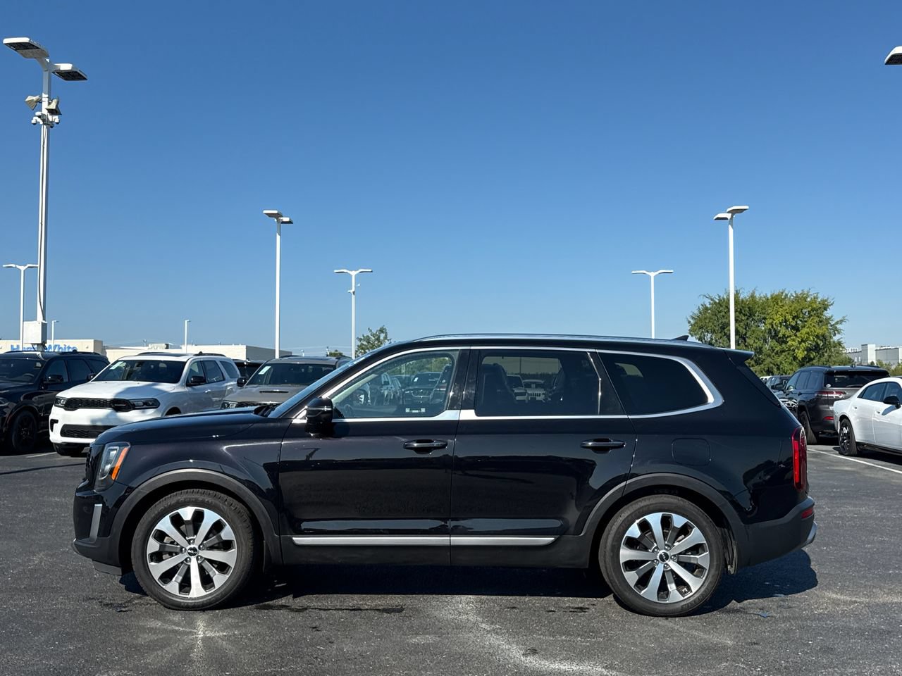 Used 2022 Kia Telluride SX AWD/4WD image 6