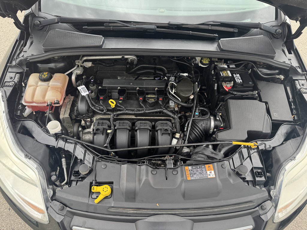 Used 2014 Ford Focus SE w/ SE Winter Package FWD image 29