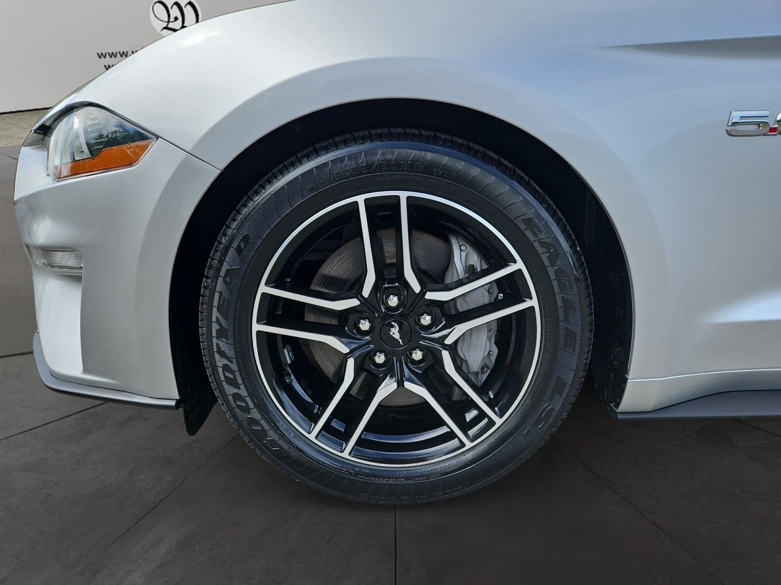 Used 2019 Ford Mustang GT Premium w/ Equipment Group 401A RWD image 14