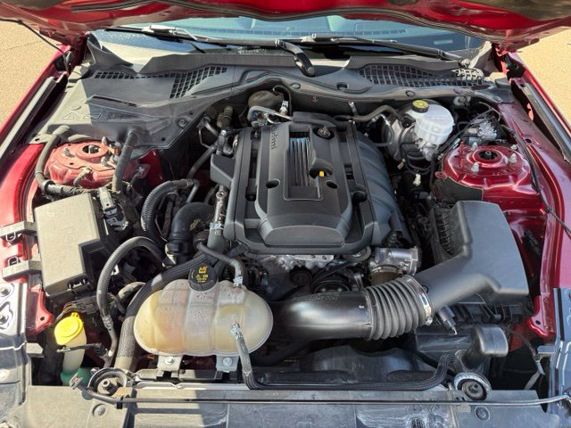Certified 2019 Ford Mustang Coupe w/ Equipment Group 101A RWD image 40