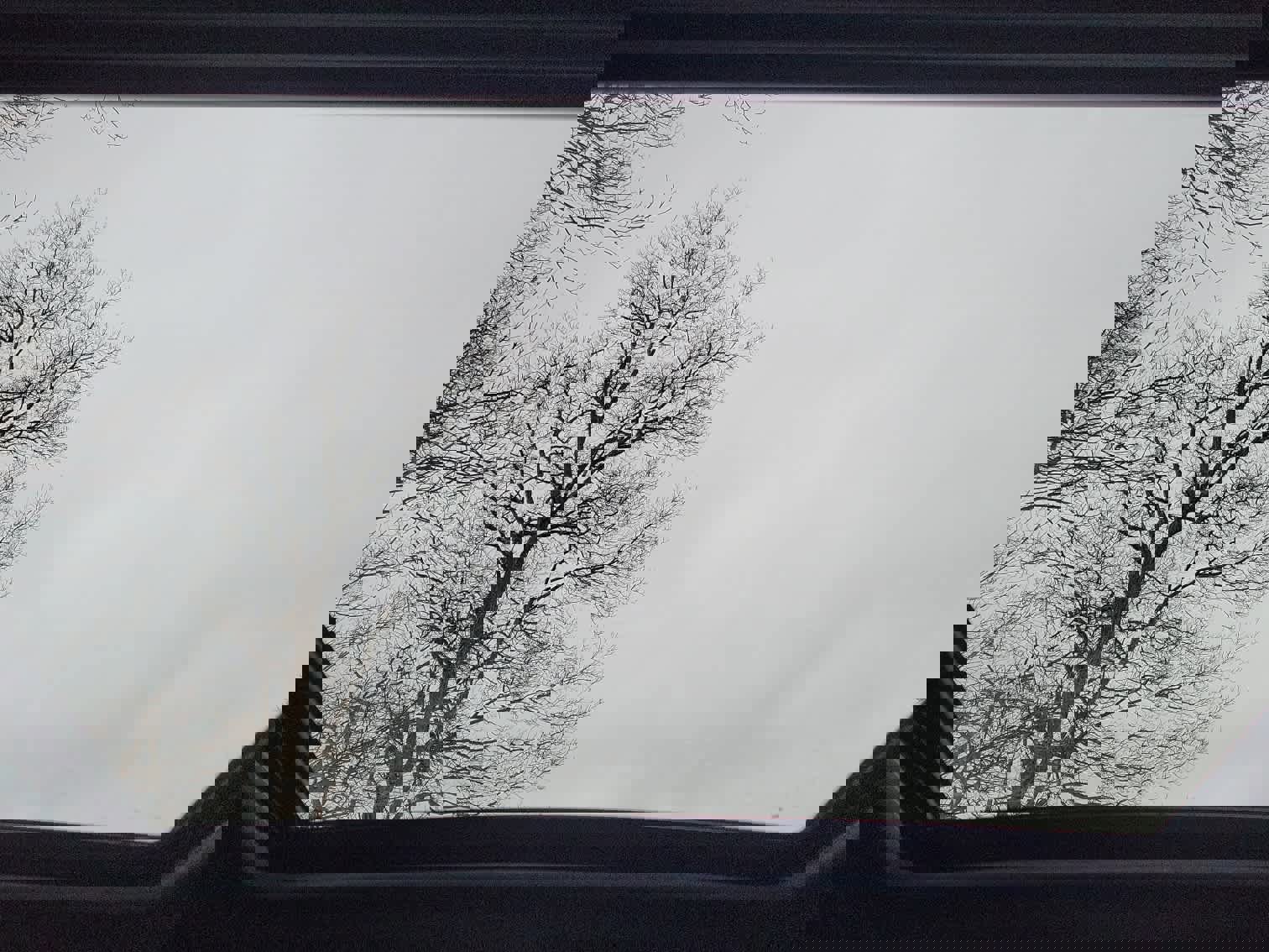 New 2026 Subaru Forester Premium w/ Base/Premium Plus Package image 33