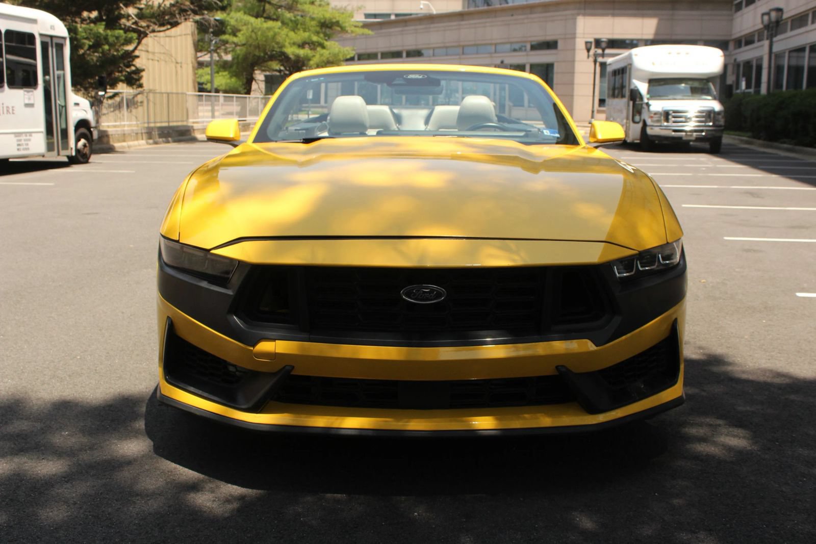 Used 2024 Ford Mustang Premium RWD image 3