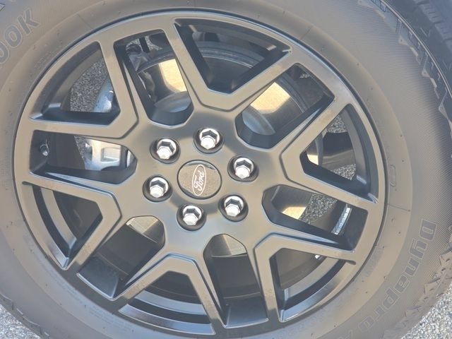 Used 2025 Ford F150 STX w/ STX Black Appearance Package AWD/4WD image 16
