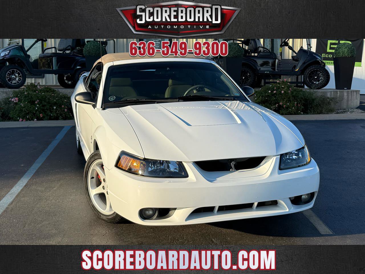 Used 1999 Ford Mustang Cobra