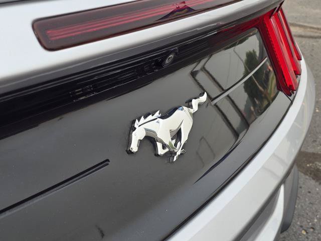 Used 2020 Ford Mustang Premium RWD image 29