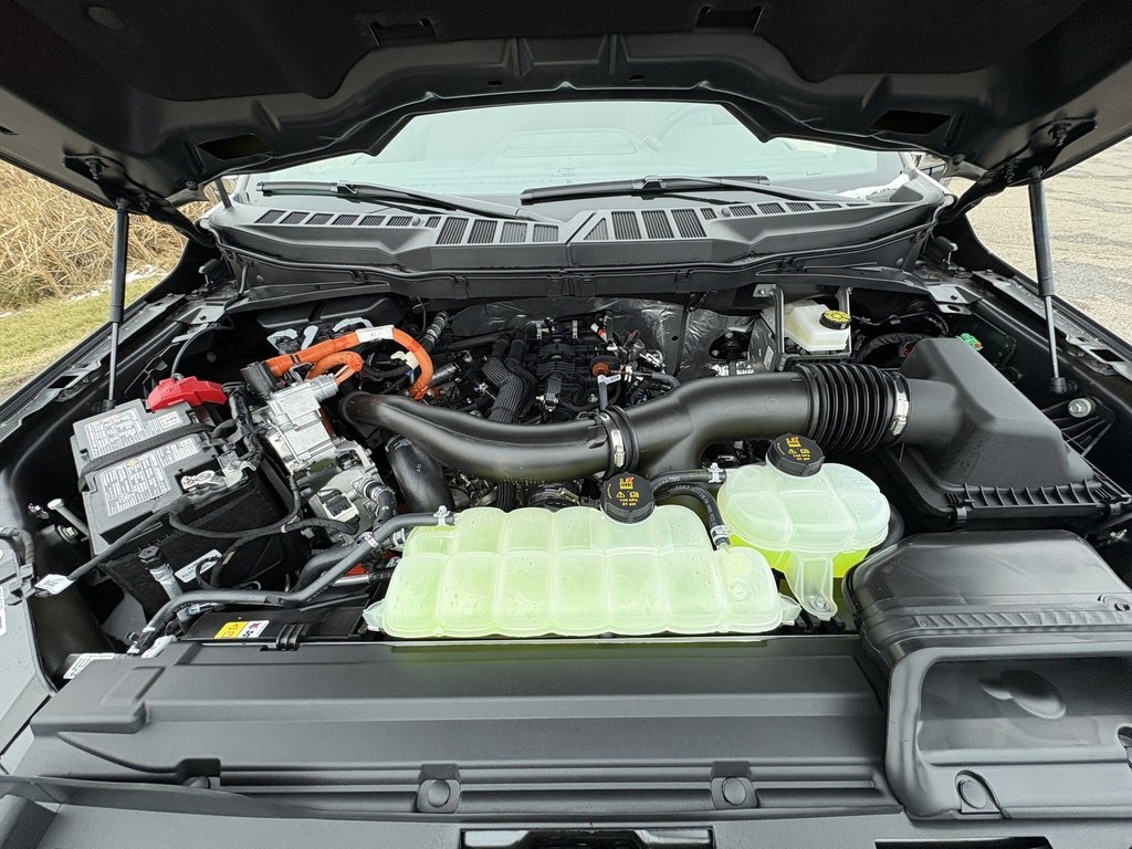 New 2026 Ford F150 XLT w/ Equipment Group 302A MID image 16
