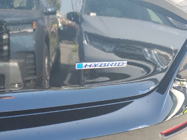 New 2026 Honda Accord EX-L image 8