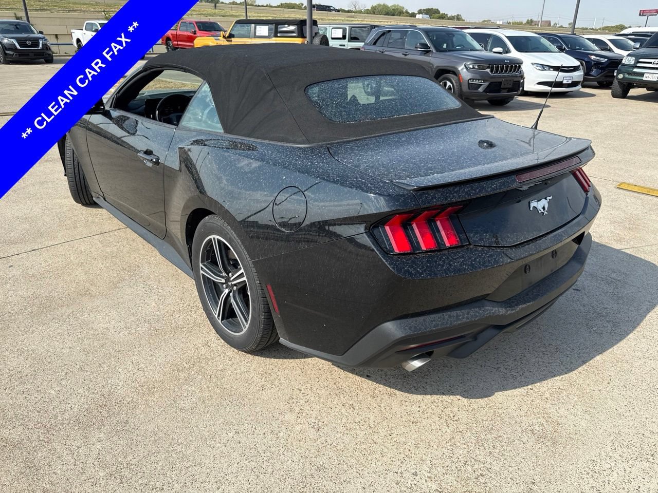 Used 2025 Ford Mustang Premium RWD image 6