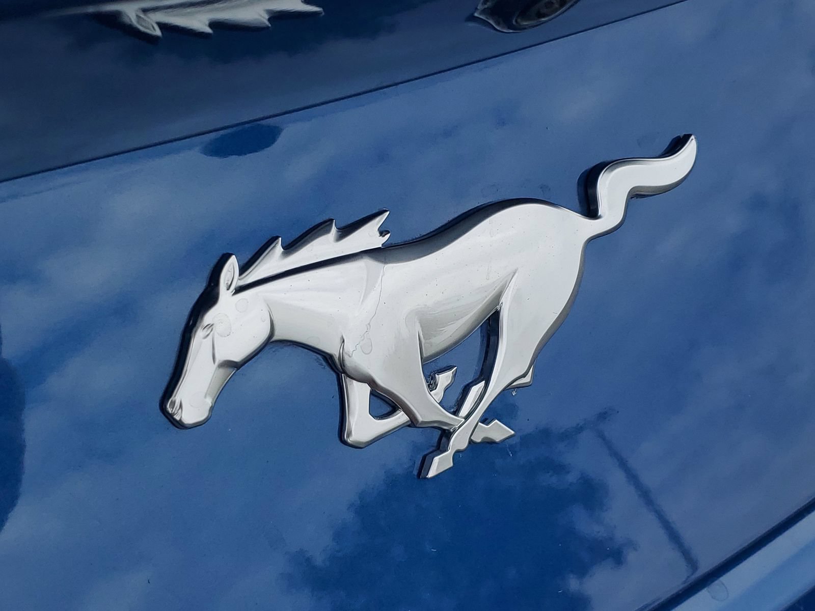 Certified 2024 Ford Mustang Coupe RWD image 6