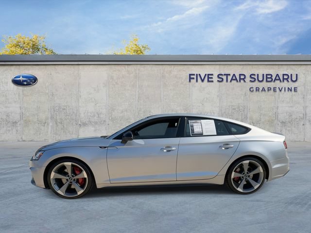 Used 2019 Audi S5 Premium Plus AWD/4WD image 5