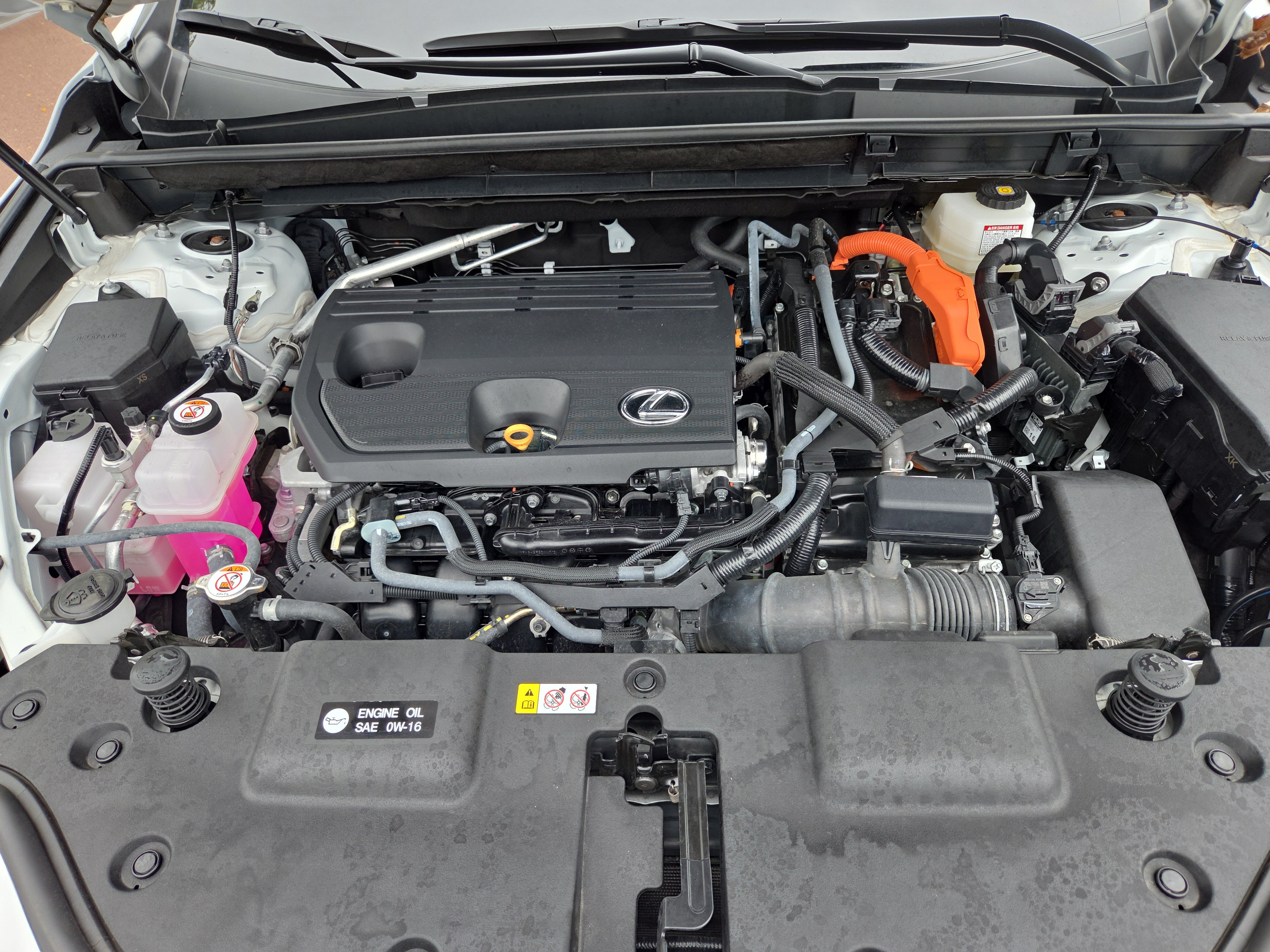 Certified 2026 Lexus NX 350h AWD w/ Cold Area Package image 33