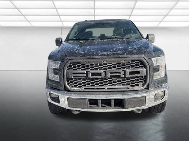 Used 2016 Ford F150 XL w/ Equipment Group 101A Mid image 6