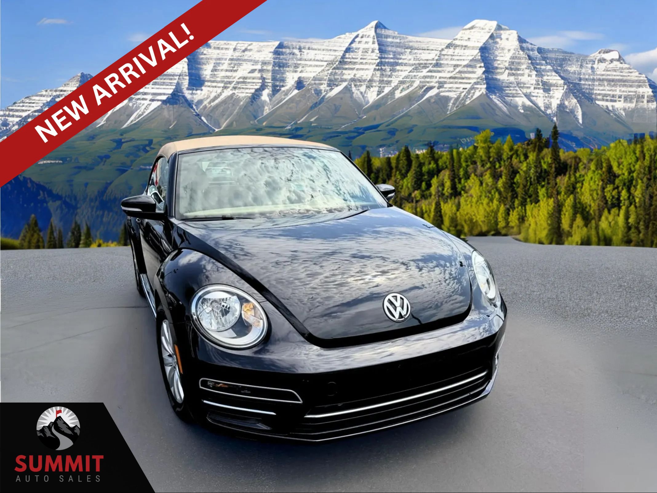 Used 2019 Volkswagen Beetle 2.0T S